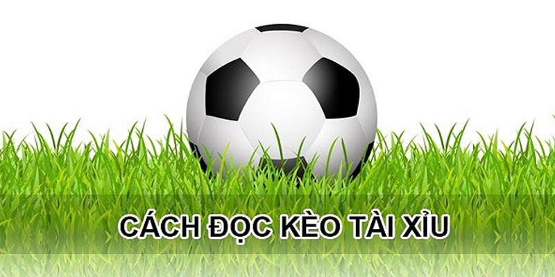 Thông tin cách xem kèo tài xỉu O/U cơ bản